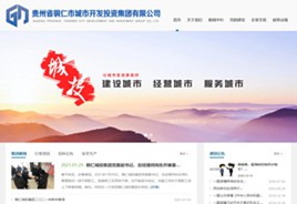 渝中城市开发投资集团有限公司